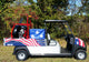 Tank Mix Spray Rig - BIRD CONTROL - FLOCK FREE