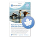 WindowAlert Modern Maple Leaf Decal Envelope - 4 decal pack - BIRD CONTROL - FLOCK FREE