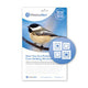 WindowAlert Modern Square Decal Envelope - 4 decal pack - BIRD CONTROL - FLOCK FREE 