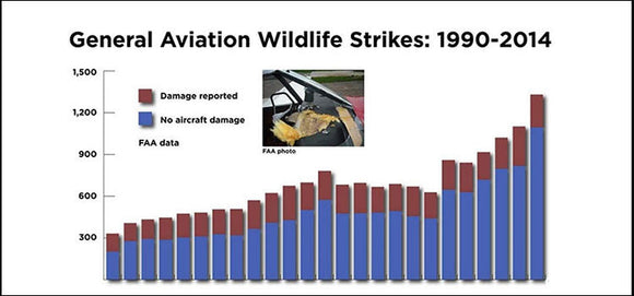 BIRDS A BILLION-DOLLAR HAZARD - WILDLIFE RISK RISING by Jim Moore