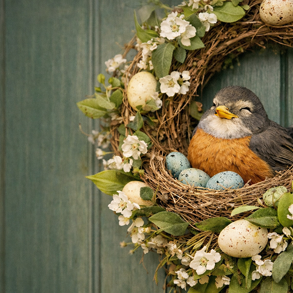 Help, There Is a Bird Nest in My Wreath. What Do I Do?