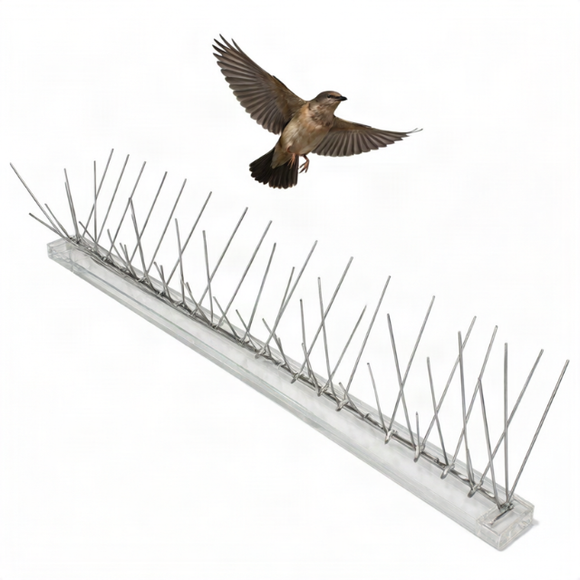 Bird Control Spikes