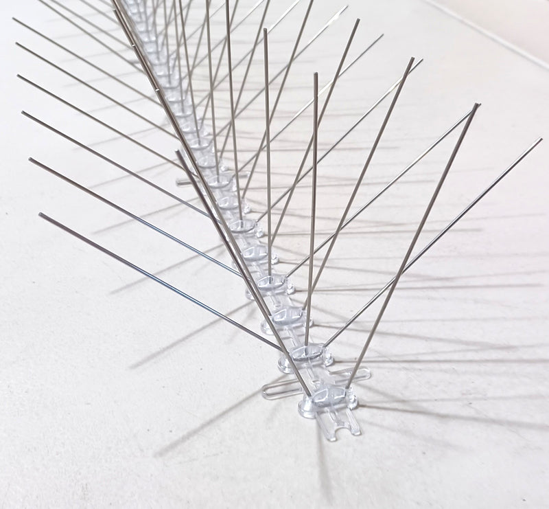 Stainless Steel Bird Spikes