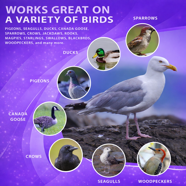Flock Free Bird Repellent Spray - Ready-to-use Bird Deterrent - Flock Free Bird Control Systems and Services LLC
