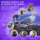 Flock Free Bird Repellent Spray - Ready-to-use Bird Deterrent - Flock Free Bird Control Systems and Services LLC