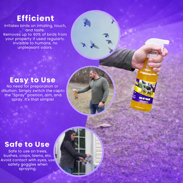 Flock Free Bird Repellent Spray - Ready-to-use Bird Deterrent - Flock Free Bird Control Systems and Services LLC